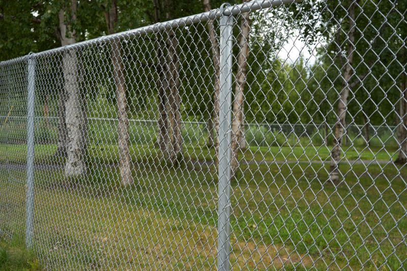 Galvanized Chain-Link Fence